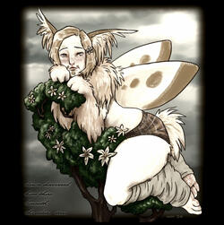 pansy, belonging to me ♡